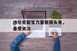 IM电竞下载app-沙尔克新生力量崭露头角，备受关注